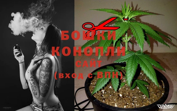 дживик Алзамай
