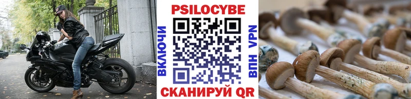 Псилоцибиновые грибы Psilocybe  Собинка 