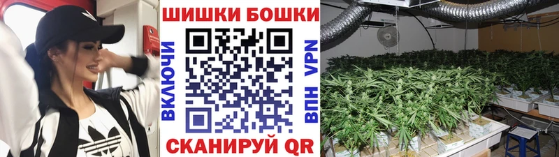Каннабис ГИДРОПОН  kraken как войти  мориарти какой сайт  Собинка 